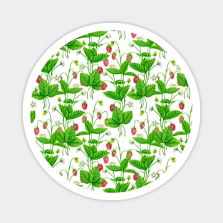 Strawberry garden Magnet